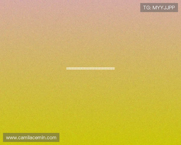 全面梳理世界杯厄瓜多尔对阵库拉索的往绩数据帮助球迷把握比赛关键点